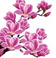 Tranh dinh da