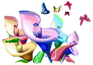 Tranh dinh da