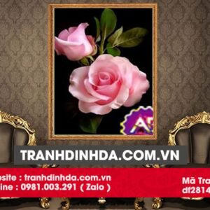 Tranh đính đá hoa hồng DF2814 Kích thước 50cm x 70cm
