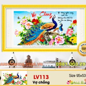 Tranh đính đá cao cấp vợ chồng LV113 kích thước 95cm x 53cm