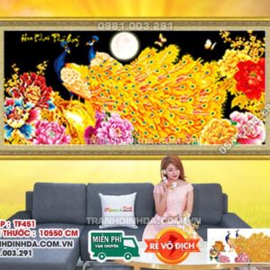 Tranh đính đá Hoa Khai Phú Quý df451 kích thước 105 x 50cm