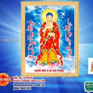 Tranh đính đá Phật TF523 kích thước 50cm x 72cm