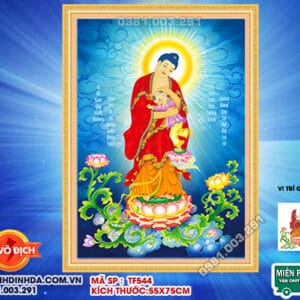 Tranh đính đá Phật DF544 kích thước 55cm x 75cm
