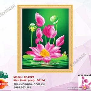 Tranh đính đá Hoa Sen DF2229 kích thước 50cm x 64cm