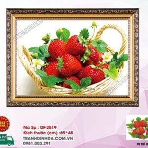 Tranh đính đá Giỏ Dâu Tây DF2519 kích thước 69cm x 48cm