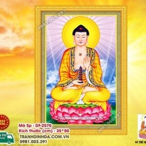 Tranh đính đá Phật Như Lai DF2570 kích thước 35cm x 50cm