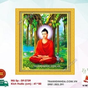Tranh đính đá Phật A Di Đà DF2739 kích thước 41cm x 50cm