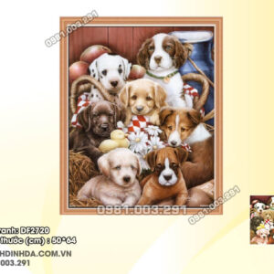 Tranh đính đá Cún Con DF2720 kích thước 50cm x64cm