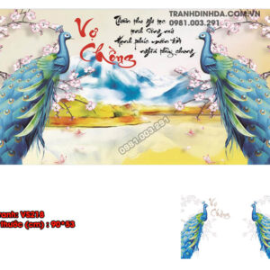 Tranh đính đá cao cấp Vợ Chồng VS218 Kích thước 90cm x 53cm