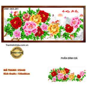 Tranh đính đá Hoa Mẫu Đơn VS449 kích thước 120x53cm